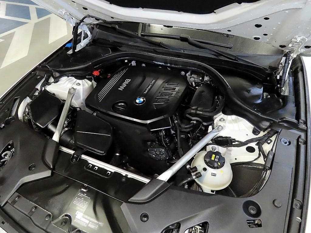 BMW 5시리즈 5시리즈 (G30) 520d M 스포츠 플러스 이미지 19