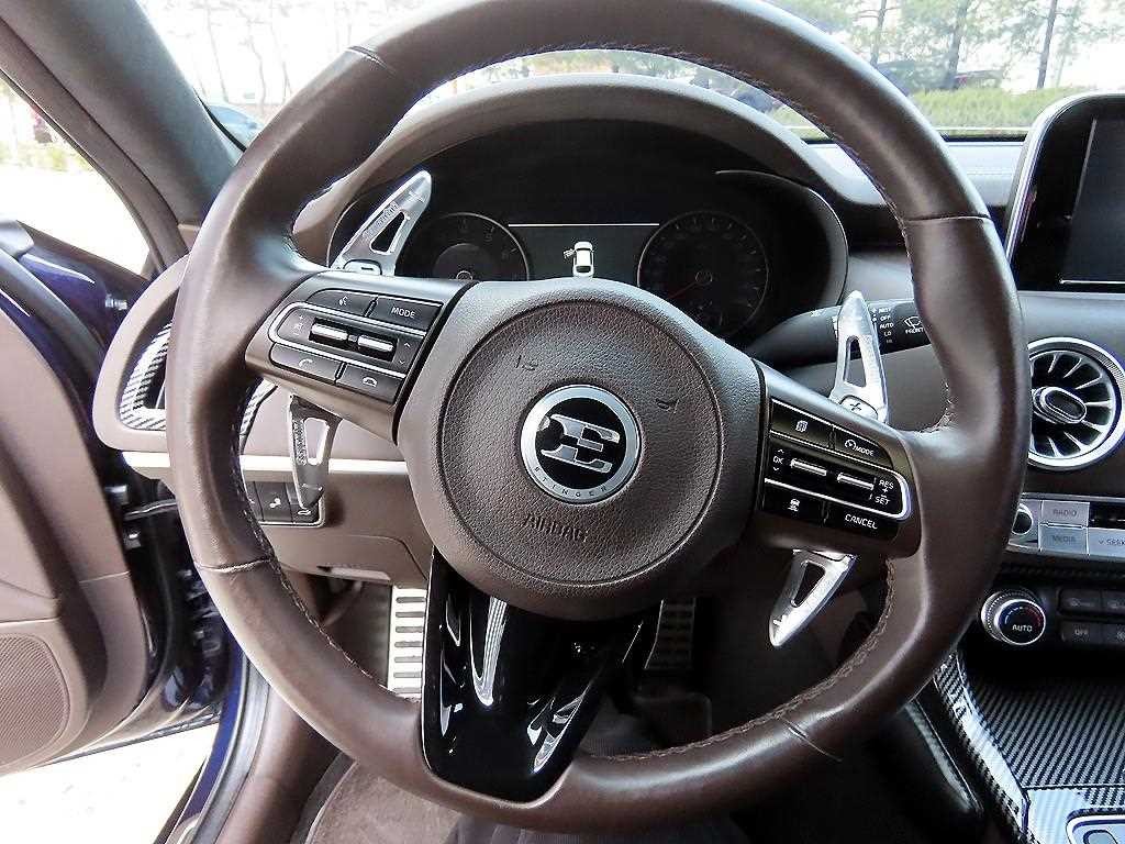 기아 스팅어 가솔린 2.0 터보 2WD 플래티넘 이미지 8