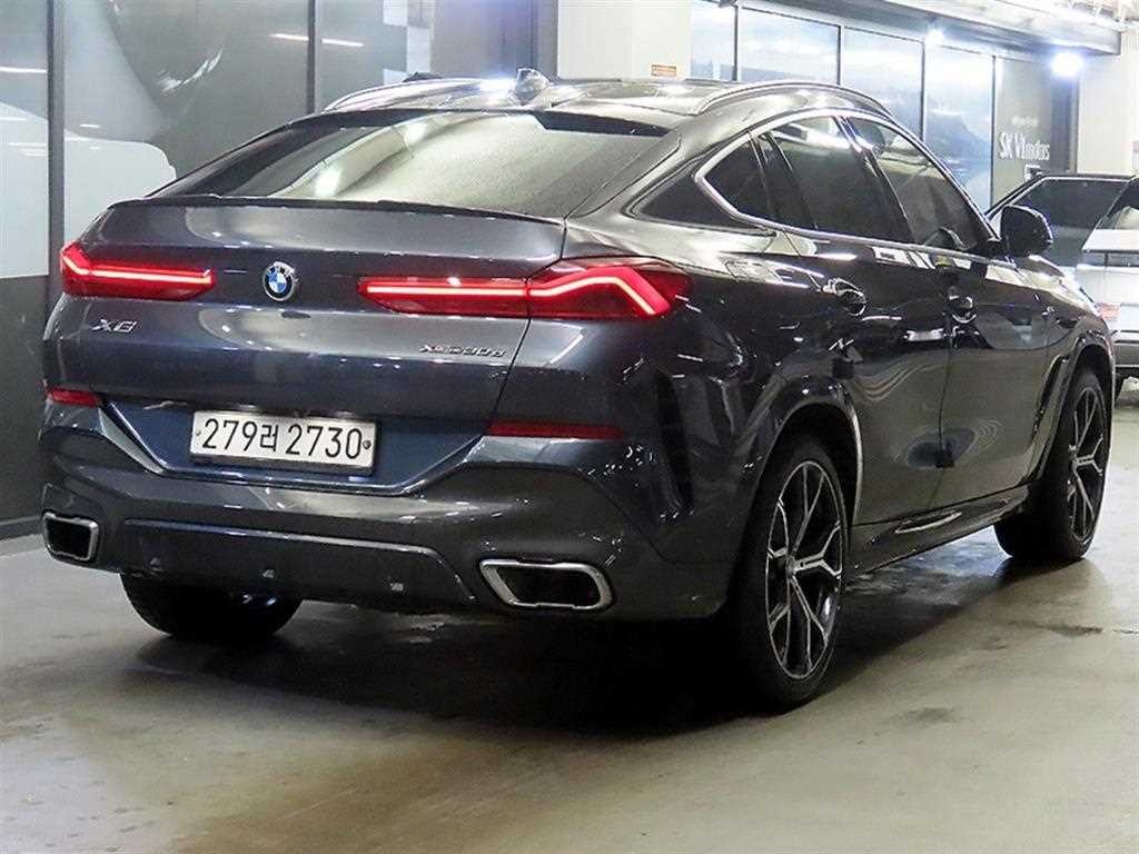 BMW X6 X6 (G06) xDrive 30d M 스포츠 이미지 4