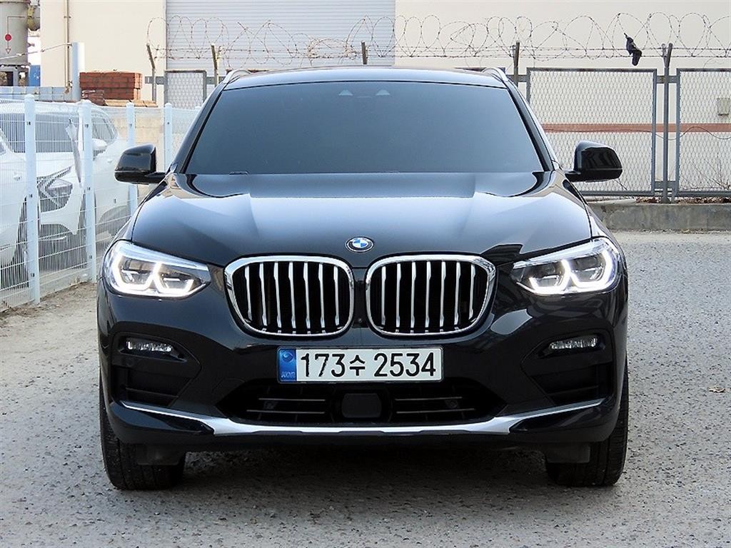 BMW X4 X4 (G02) xDrive 20d xLine 이미지 1
