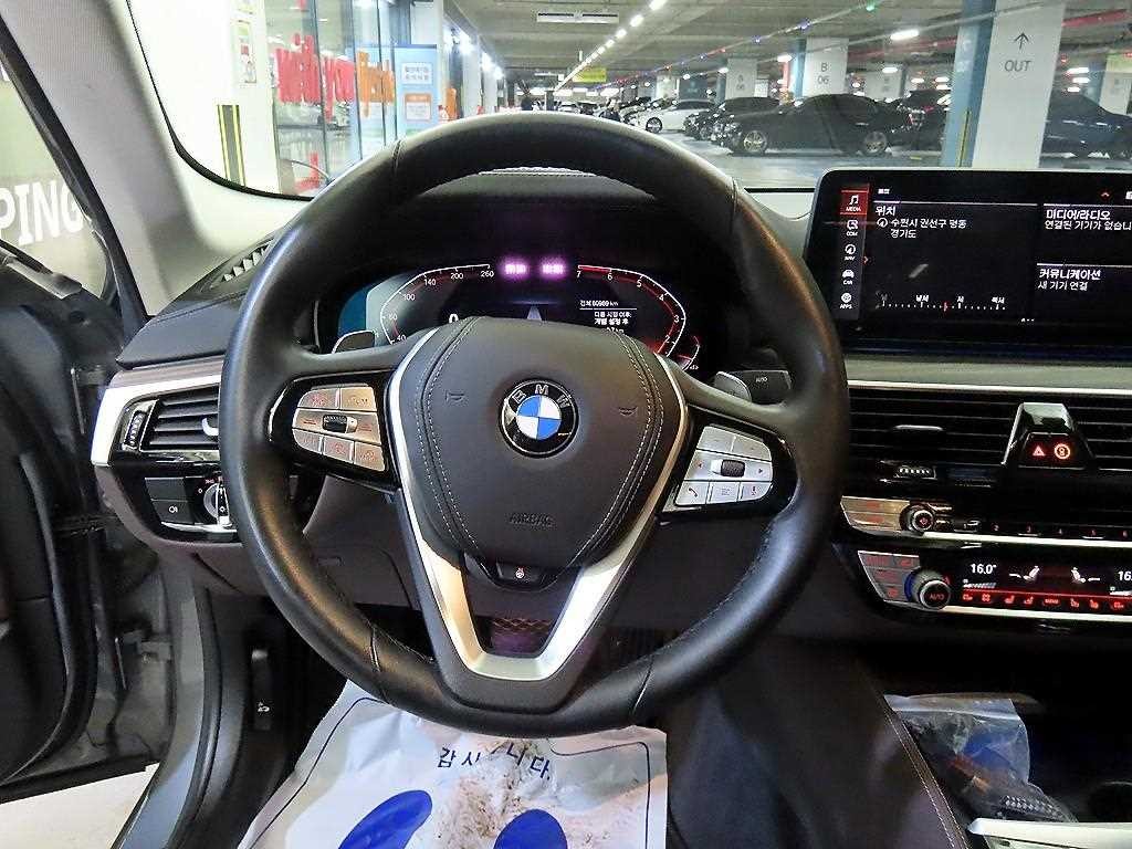 BMW 5시리즈 5시리즈 (G30) 530i xDrive 럭셔리 이미지 8