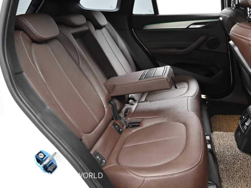 BMW X1 X1 (F48) xDrive 20i M 스포츠 이미지 12