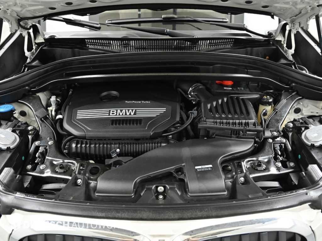 BMW X1 X1 (F48) xDrive 20i M 스포츠 이미지 6