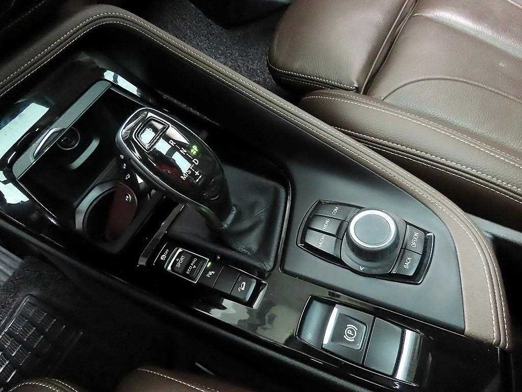 BMW X1 X1 (F48) xDrive 20i M 스포츠 이미지 10