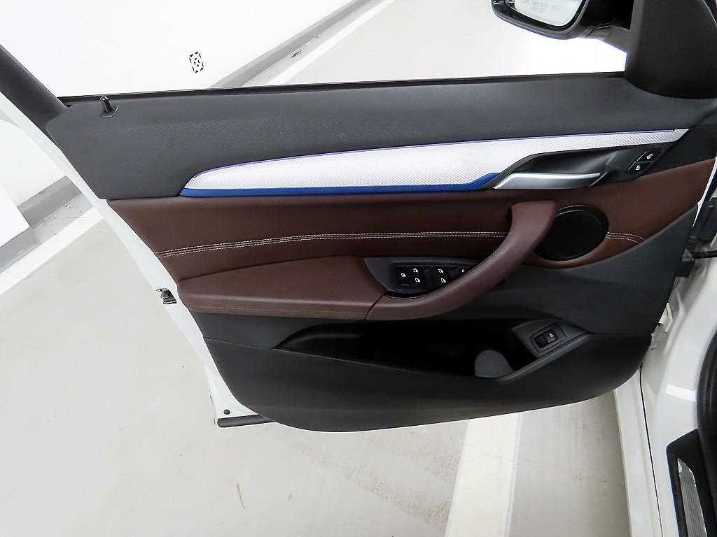 BMW X1 X1 (F48) xDrive 20i M 스포츠 이미지 11