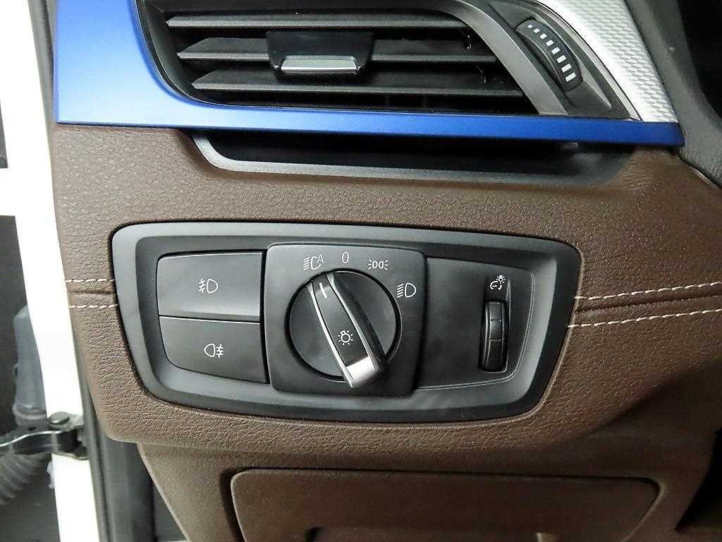 BMW X1 X1 (F48) xDrive 20i M 스포츠 이미지 12