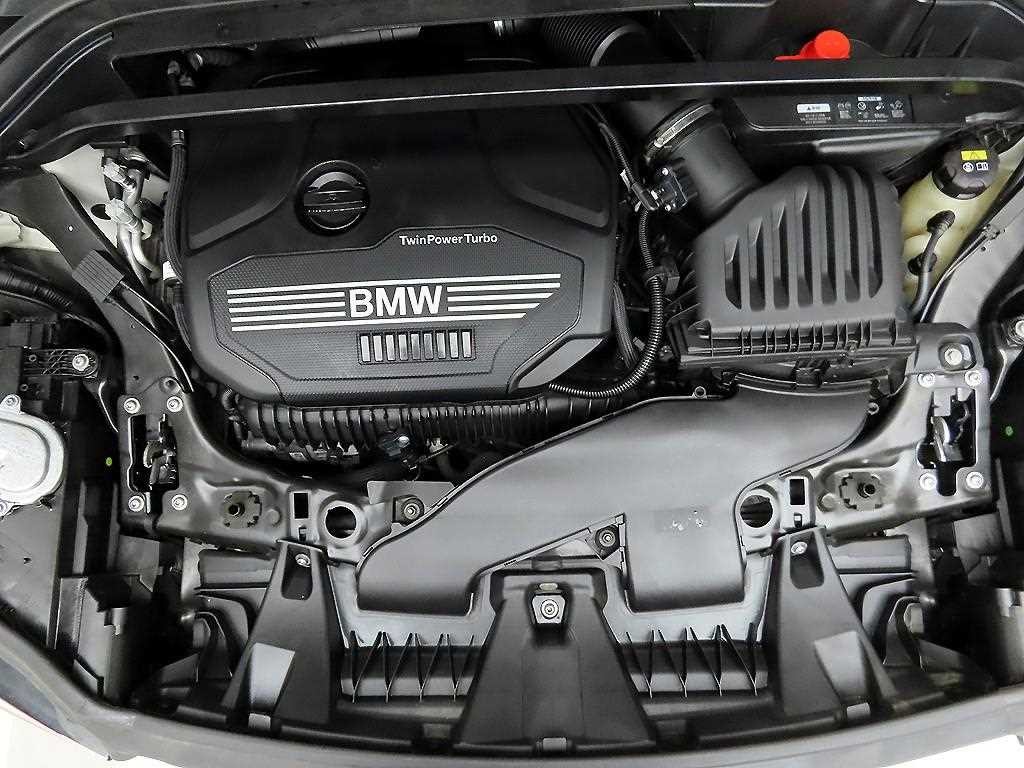 BMW X1 X1 (F48) xDrive 20i M 스포츠 이미지 20