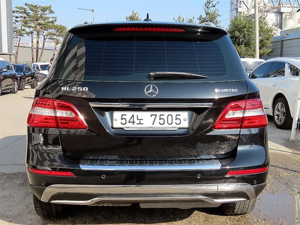 벤츠 M 클래스 뉴 M클래스 W166 ML250 블루텍 4매틱 이미지 4
