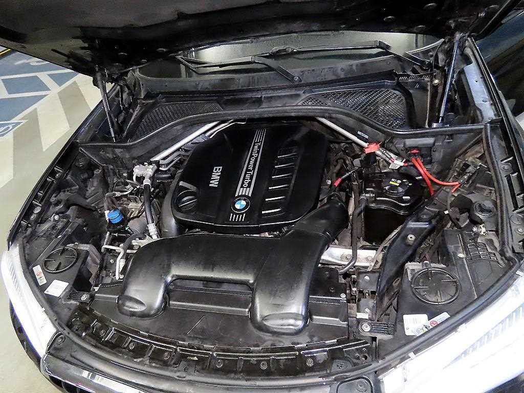 BMW X6 X6 (F16) xDrive 30d 이미지 19