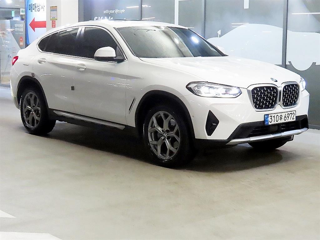 BMW X4 X4 (G02) xDrive 20i xLine 이미지 1