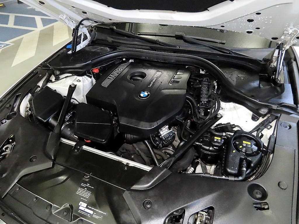 BMW 5시리즈 5시리즈 (G30) 530i xDrive M 스포츠 플러스 이미지 19