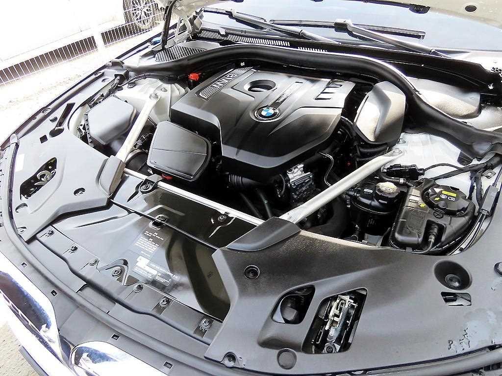 BMW 5시리즈 5시리즈 (G30) 520i 럭셔리 이미지 19