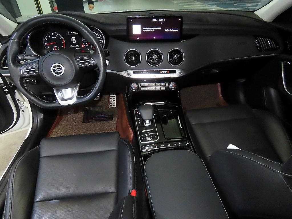 기아 스팅어 스팅어 마이스터 2WD 2.5 플래티넘 이미지 10