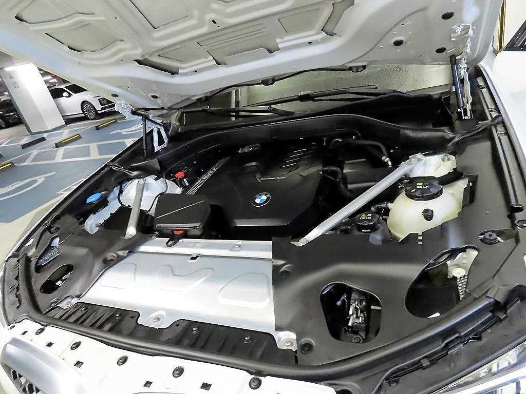 BMW X4 X4 (G02) xDrive 20i M 스포츠 프로 이미지 19