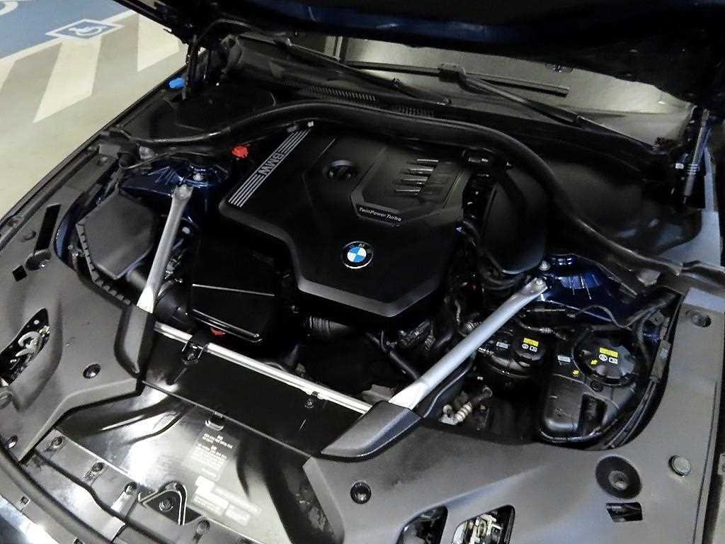 BMW 5시리즈 5시리즈 (G30) 520i M 스포츠 이미지 19