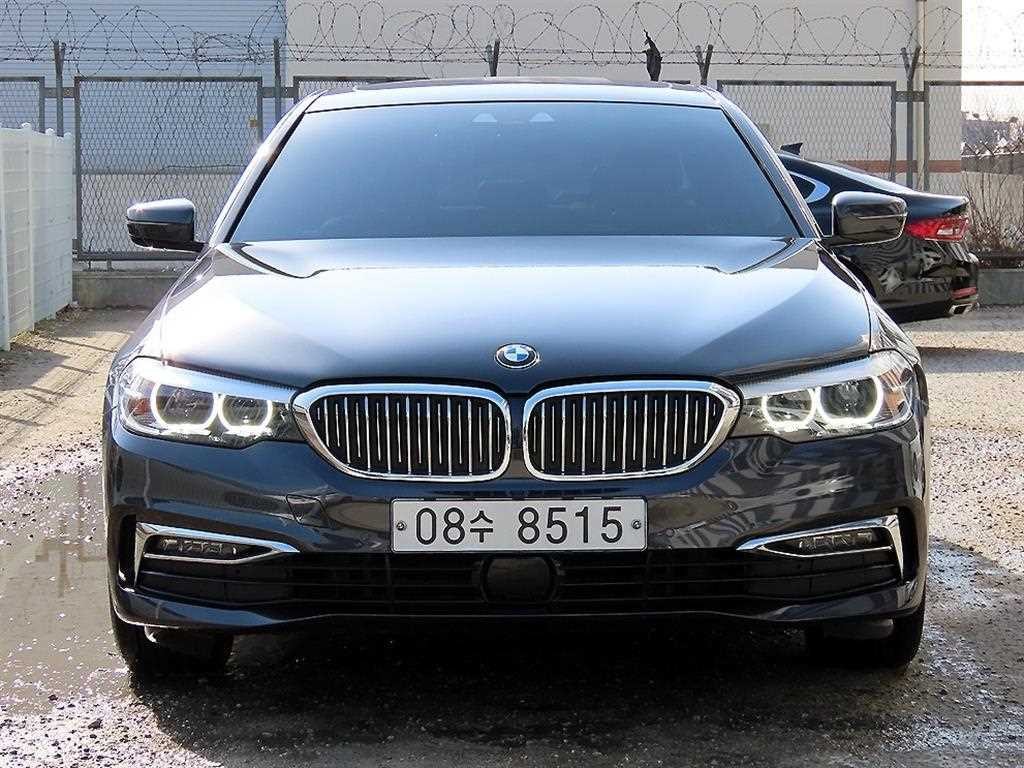 BMW 5시리즈 5시리즈 (G30) 520i 럭셔리 이미지 1
