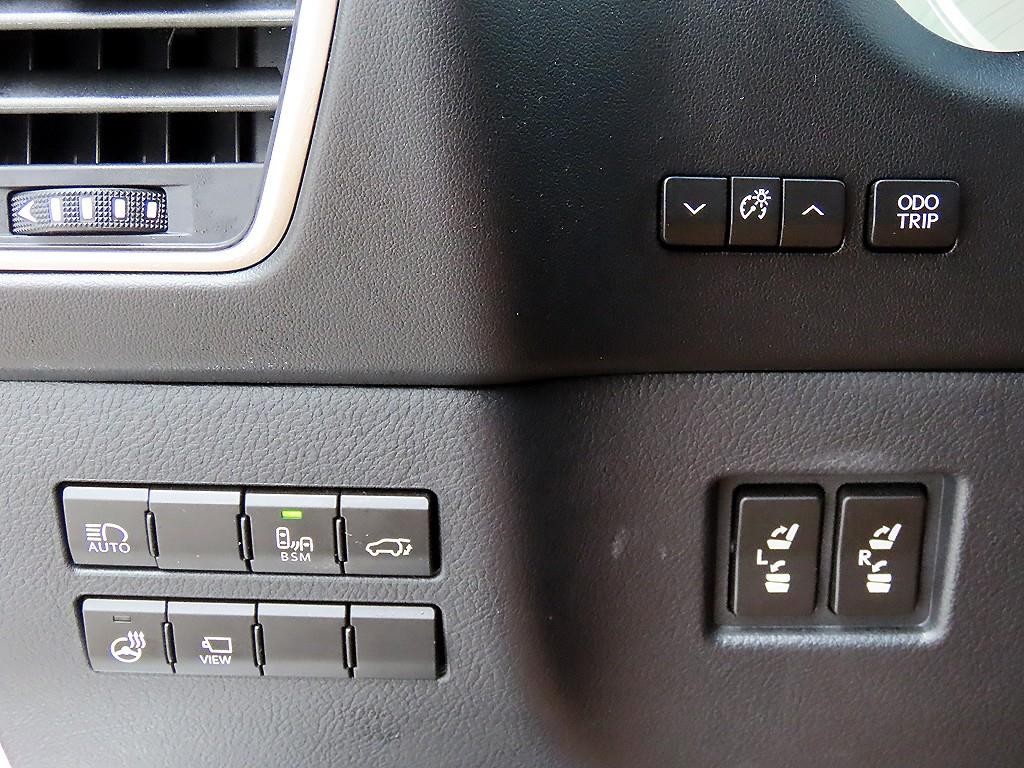 렉서스 NX NX 300h 이그제큐티브 이미지 13