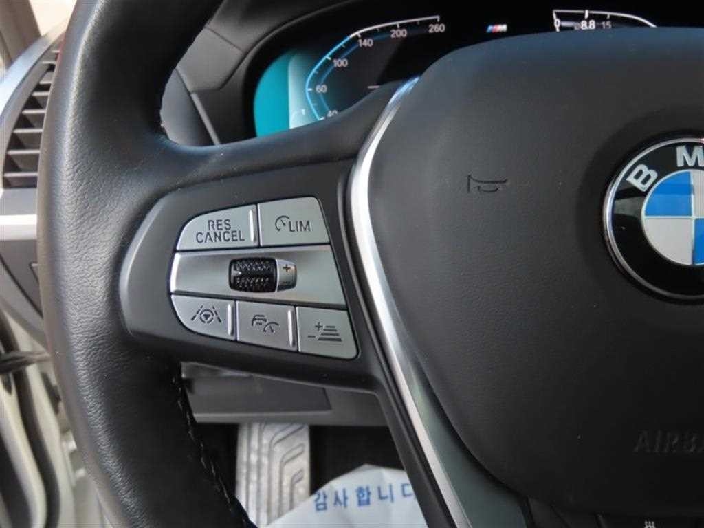 BMW X3 X3 (G01) xDrive 20i 럭셔리 이미지 11