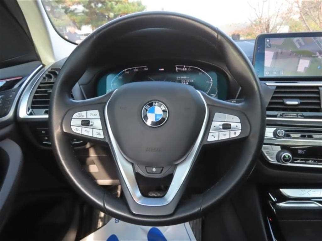 BMW X3 X3 (G01) xDrive 20i 럭셔리 이미지 16