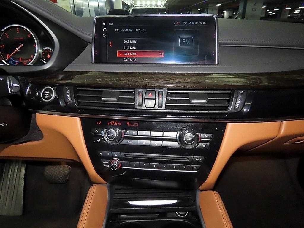 BMW X6 X6 (F16) xDrive 30d 이미지 11