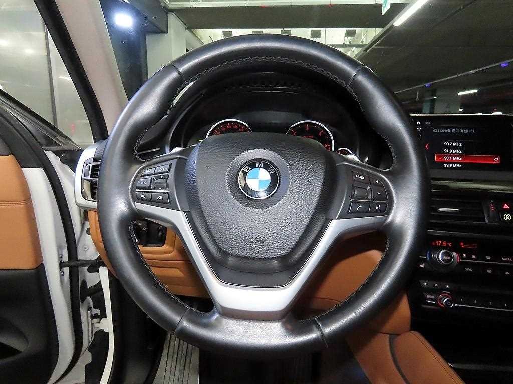 BMW X6 X6 (F16) xDrive 30d 이미지 8