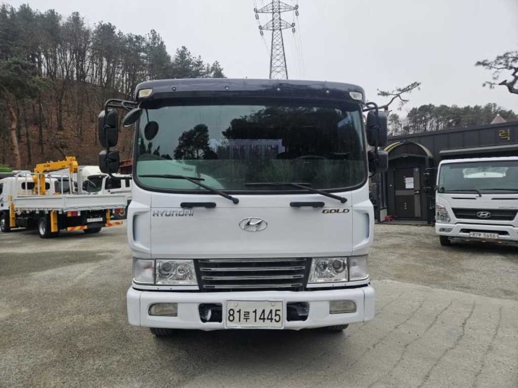 중대형화물 카고 카고(4.5~5톤) 메가트럭5톤 중축 이미지 2