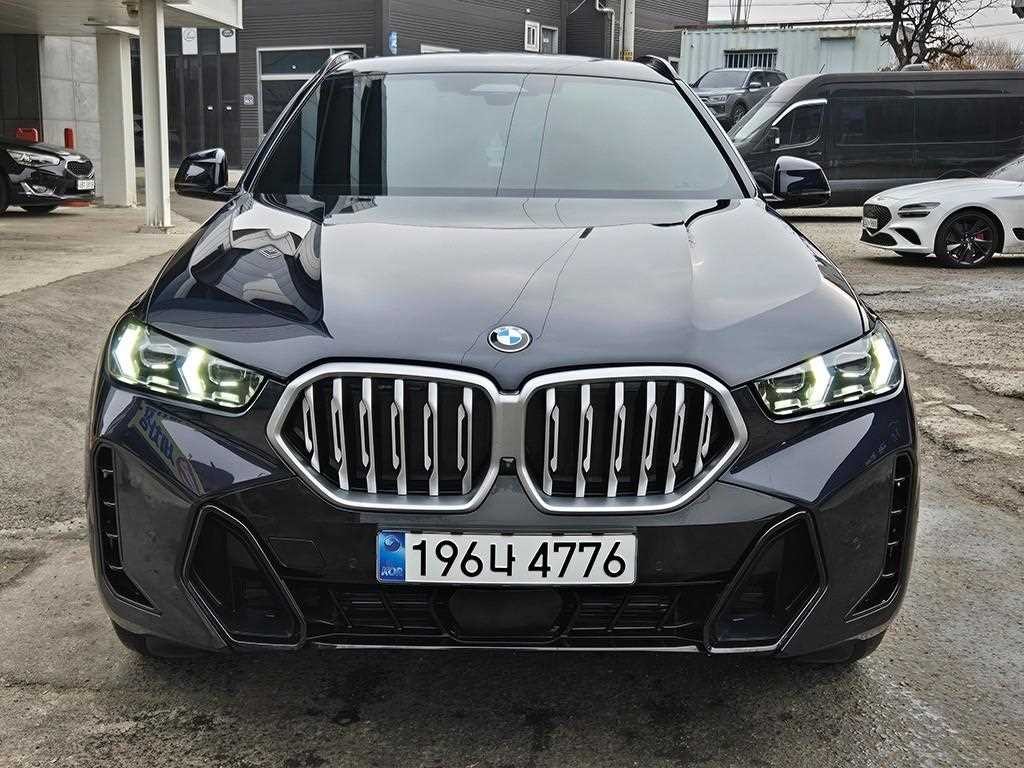 BMW X6 X6 (G06) xDrive 30d M 스포츠 이미지 1