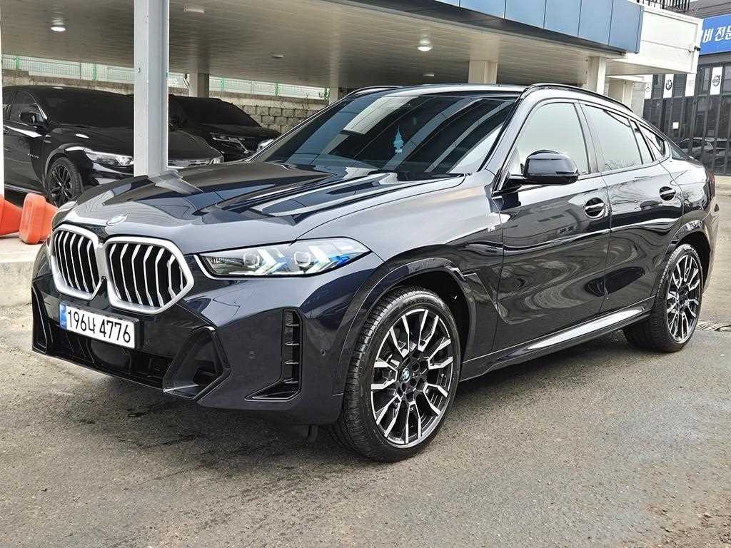 BMW X6 X6 (G06) xDrive 30d M 스포츠 이미지 2
