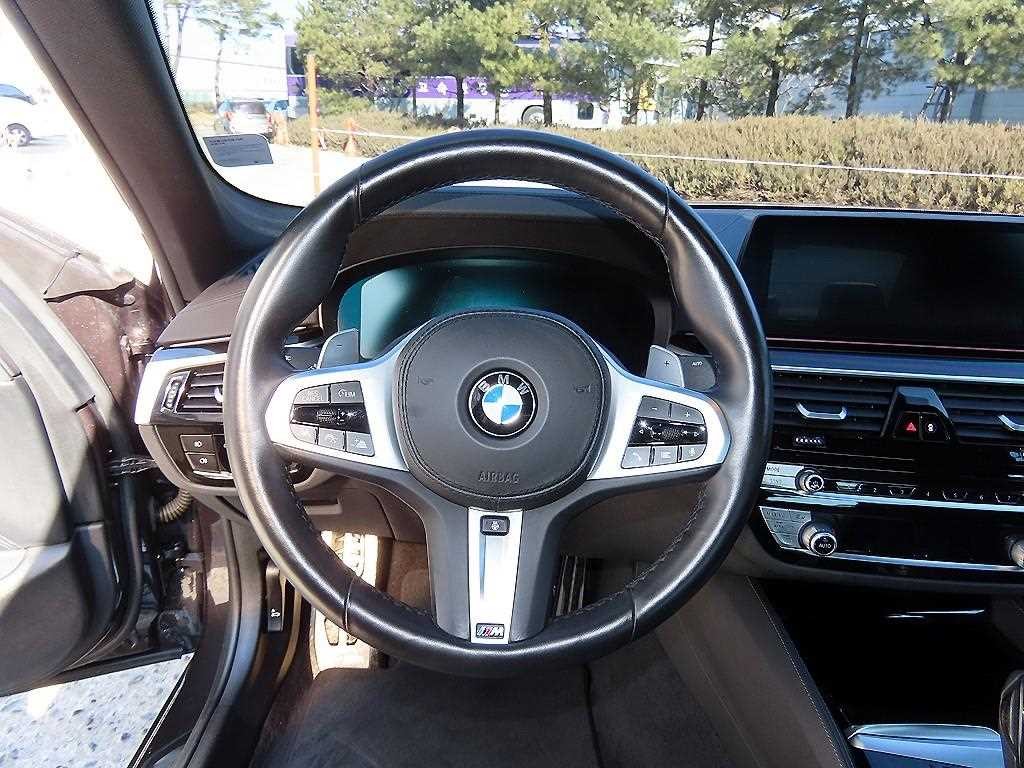 BMW 5시리즈 5시리즈 (G30) 530i M 스포츠 플러스 이미지 8
