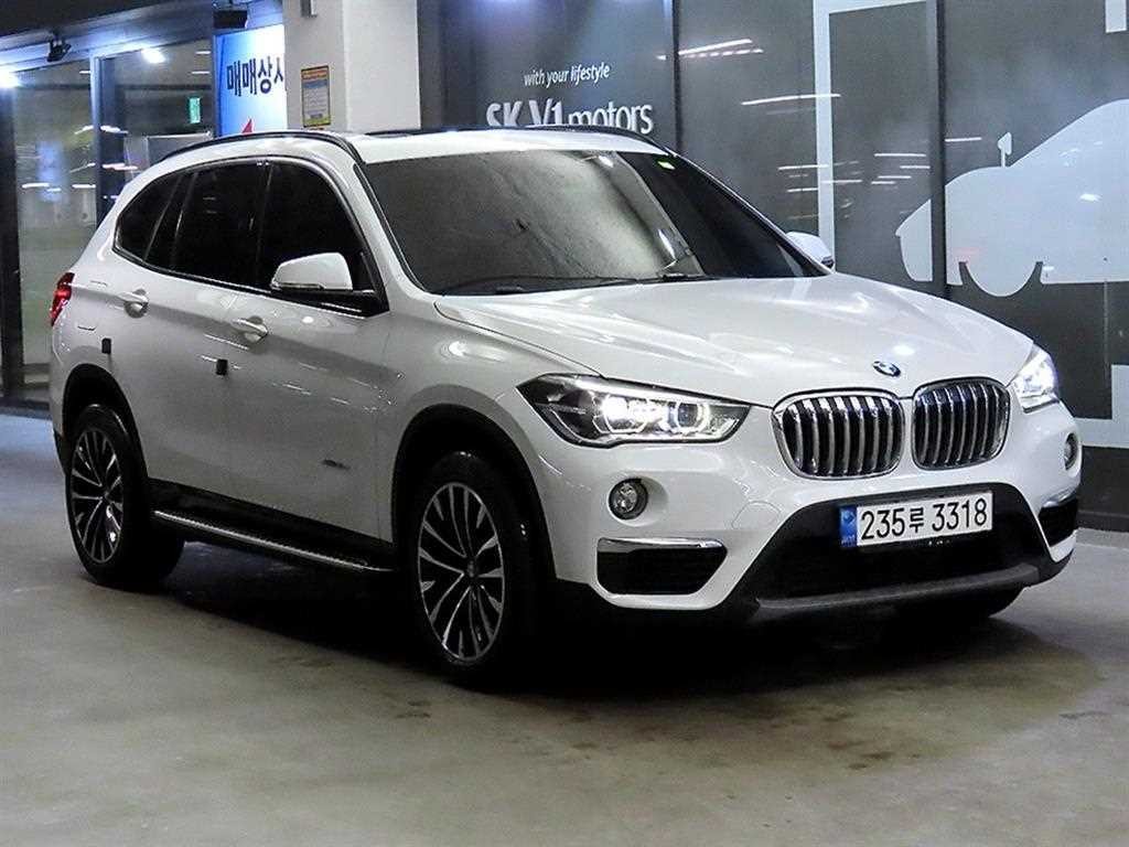 BMW X1 X1 (F48) xDrive 18d 이미지 1