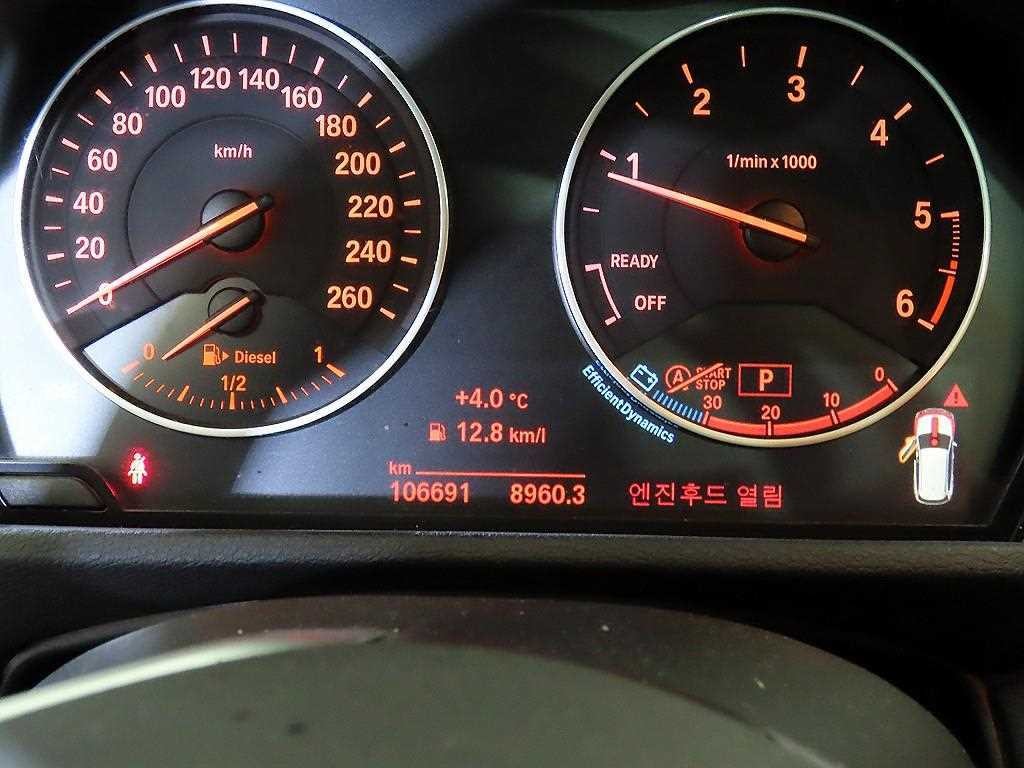 BMW X1 X1 (F48) xDrive 18d 이미지 9
