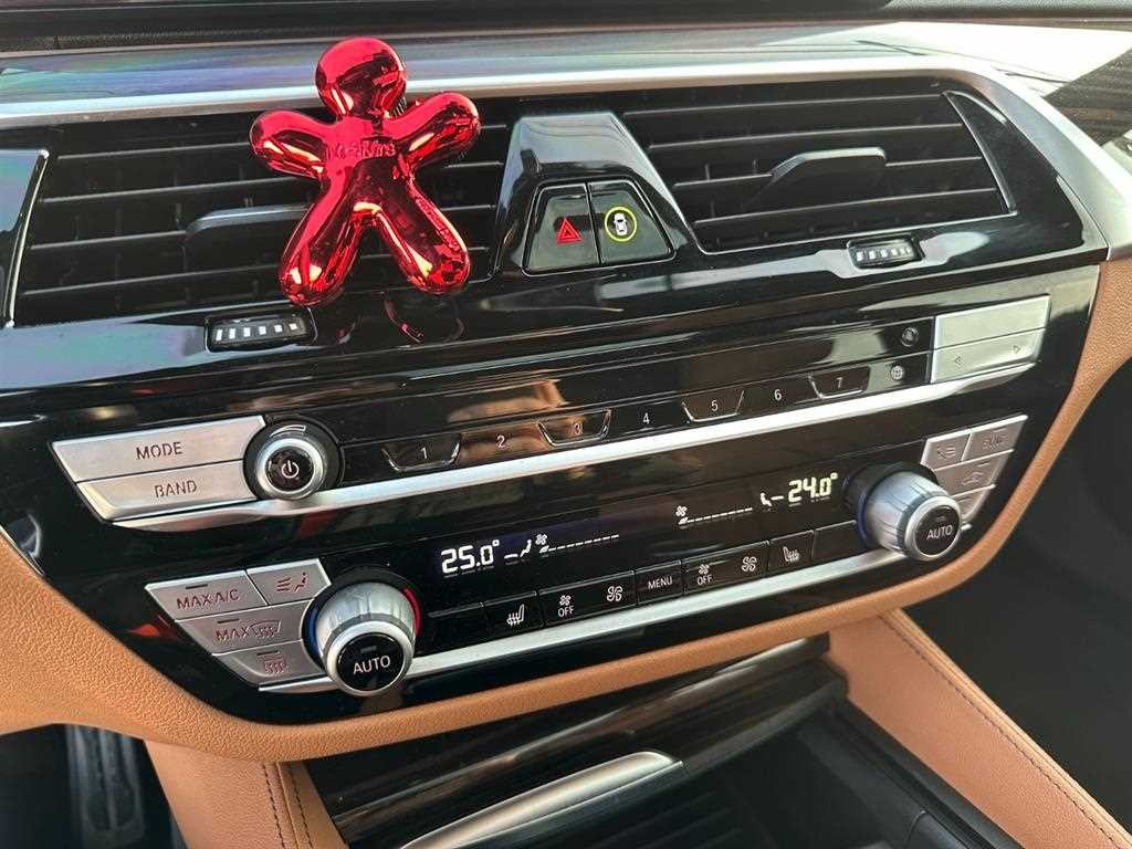 BMW 5시리즈 5시리즈 (G30) 520i M 스포츠 이미지 10