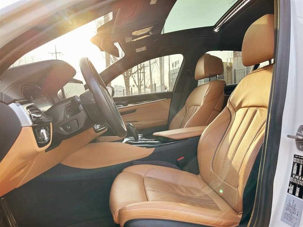 BMW 5시리즈 5시리즈 (G30) 520i M 스포츠 이미지 12