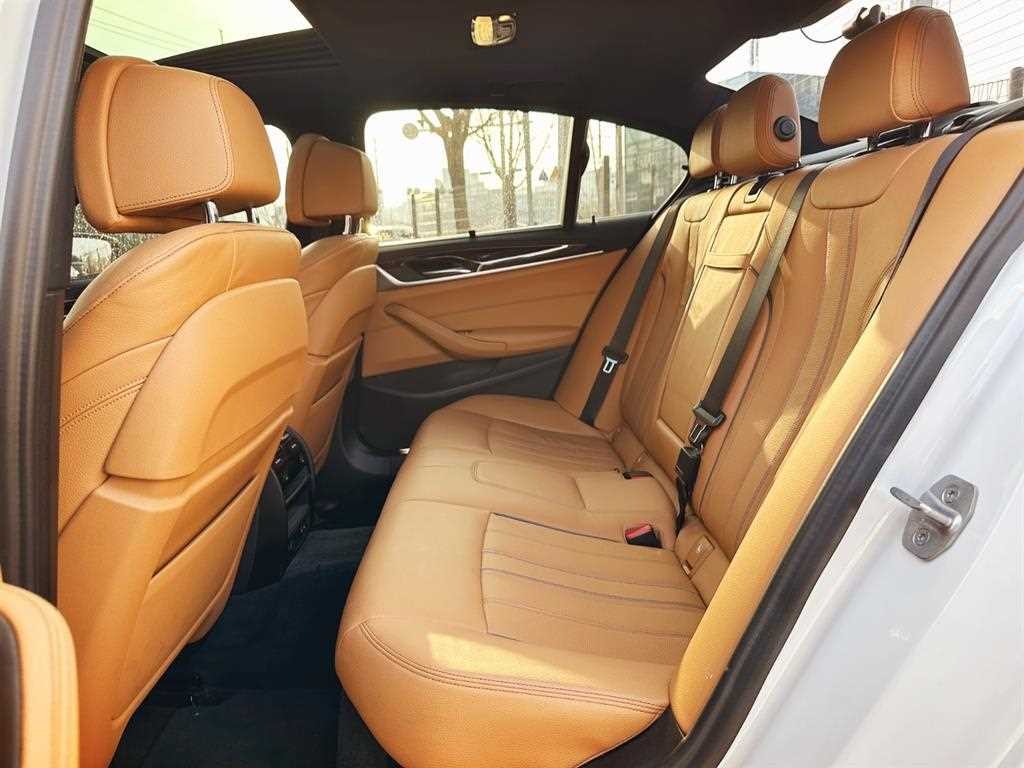 BMW 5시리즈 5시리즈 (G30) 520i M 스포츠 이미지 13