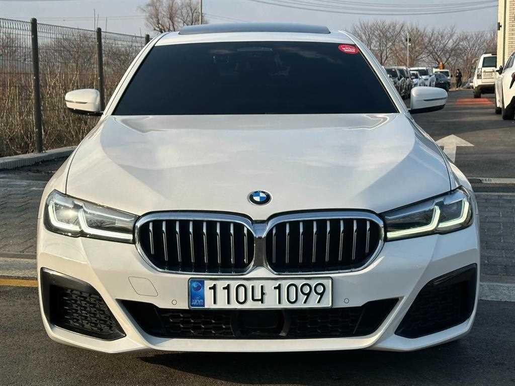 BMW 5시리즈 5시리즈 (G30) 520i M 스포츠 이미지 3
