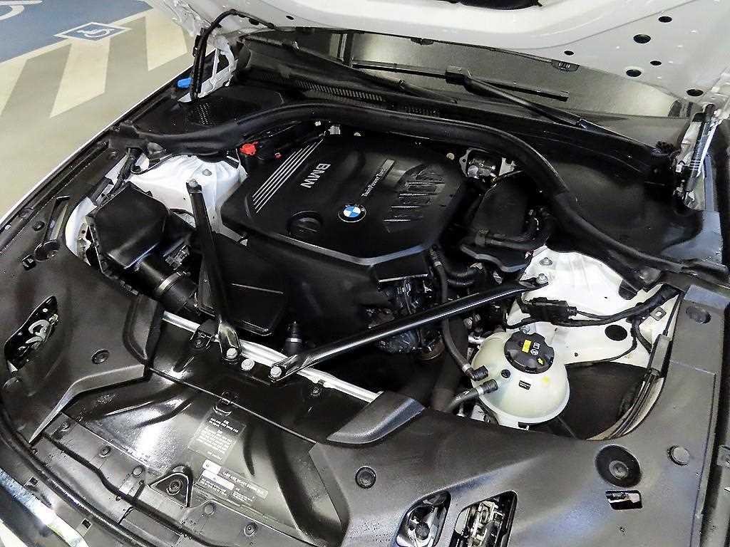 BMW 5시리즈 5시리즈 (G30) 520d M 스포츠 스페셜 에디션 이미지 19
