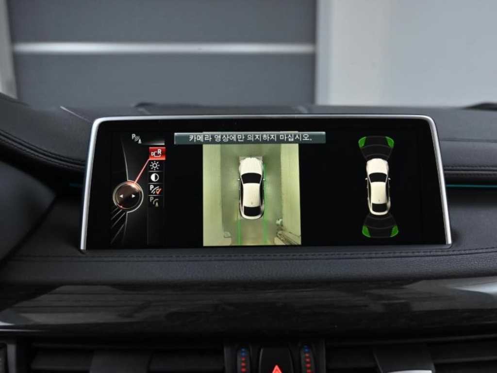 BMW X6 X6 (F16) xDrive 30d 이미지 15