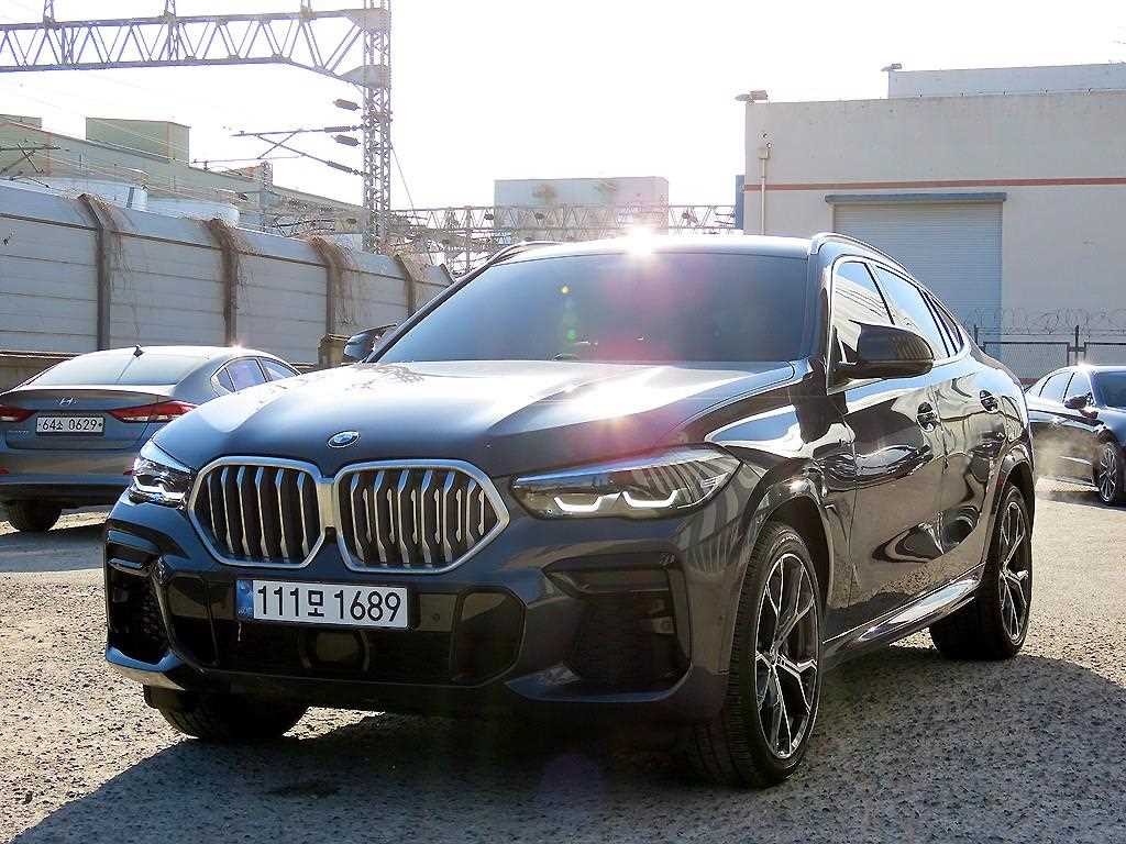 BMW X6 X6 (G06) xDrive 30d M 스포츠 이미지 2