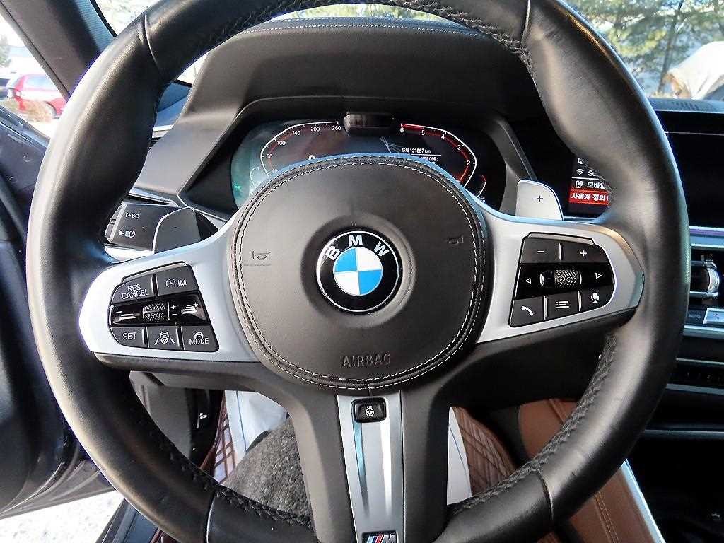 BMW X6 X6 (G06) xDrive 30d M 스포츠 이미지 8