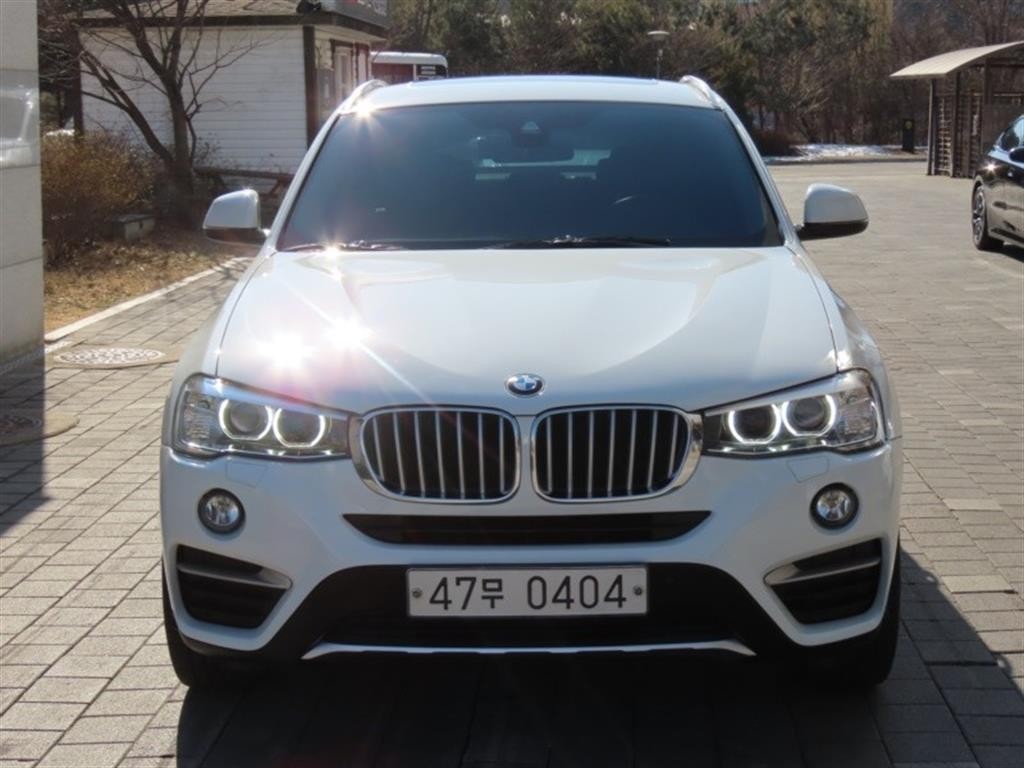 BMW X4 X4 (F26) xDrive 20d 이미지 1