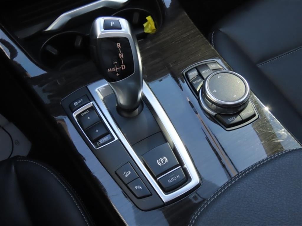BMW X4 X4 (F26) xDrive 20d 이미지 6