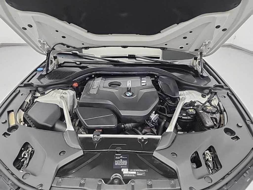 BMW 5시리즈 5시리즈 (G30) 530i xDrive M 스포츠 이미지 6