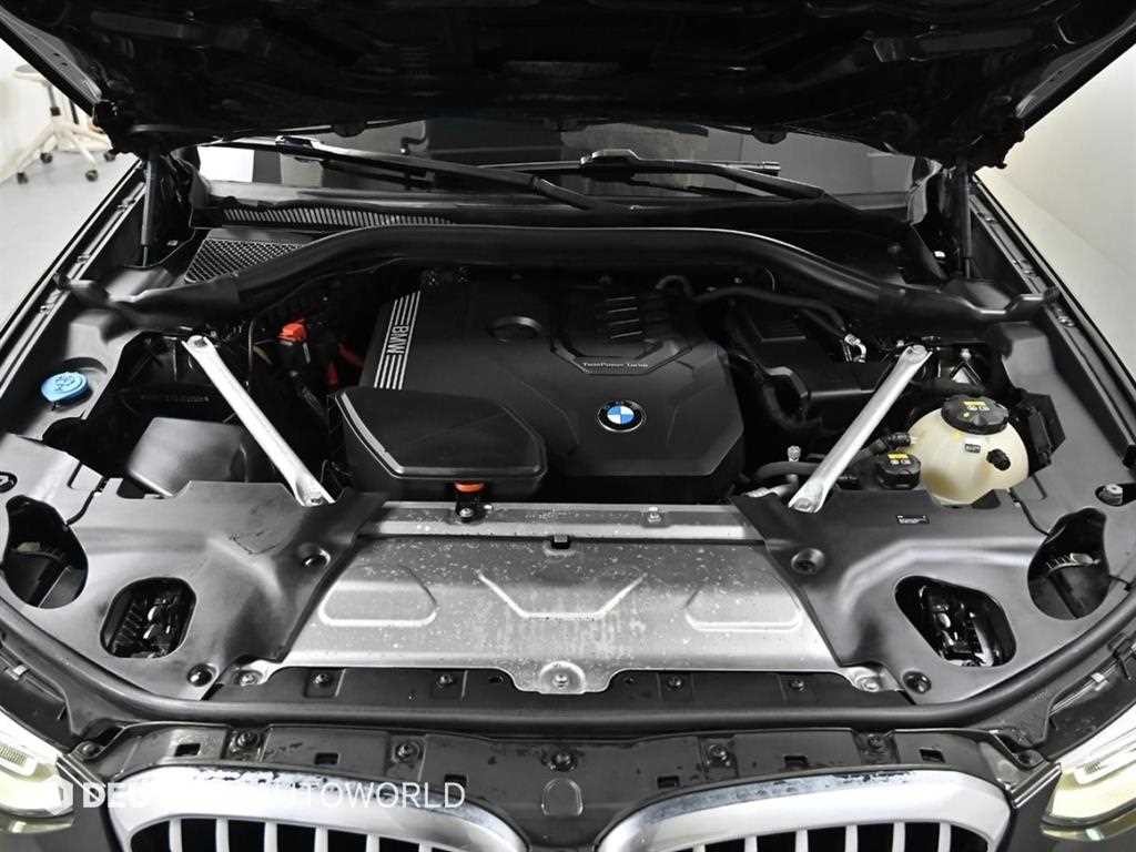 BMW X4 X4 (G02) xDrive 20i xLine 이미지 5