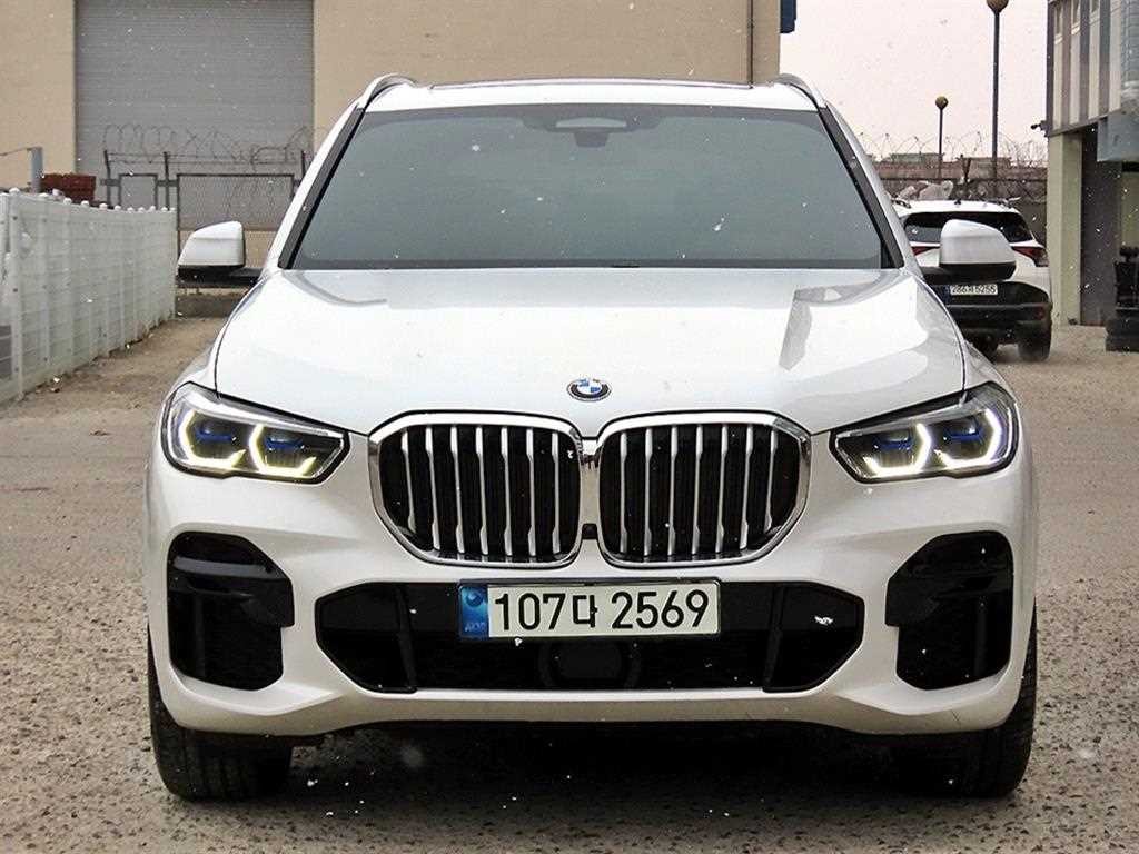 BMW X5 X5 (G05) xDrive 40i M 스포츠 이미지 2