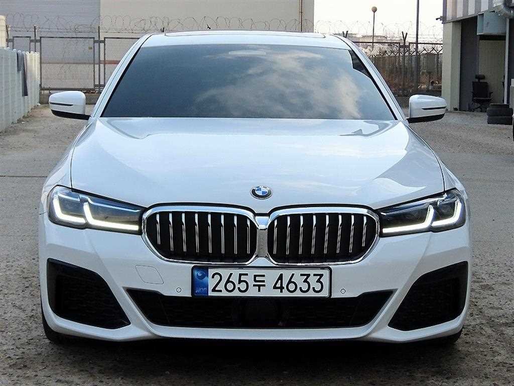BMW 5시리즈 5시리즈 (G30) 520i M 스포츠 이미지 1