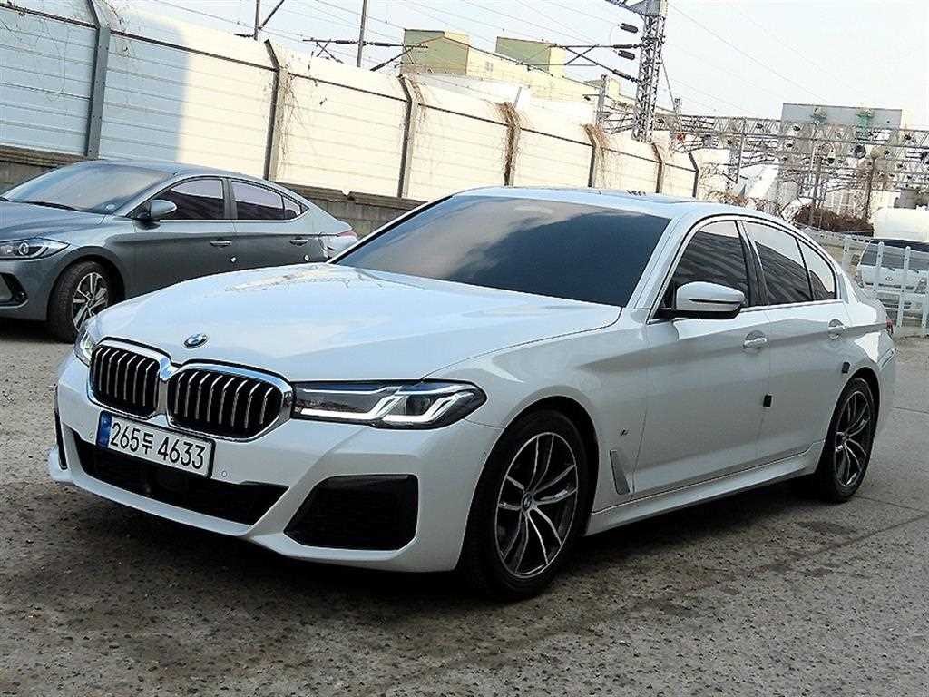 BMW 5시리즈 5시리즈 (G30) 520i M 스포츠 이미지 2