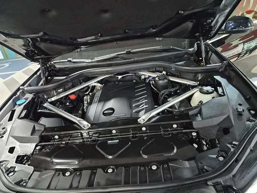 BMW X6 X6 (G06) xDrive 30d M 스포츠 이미지 19