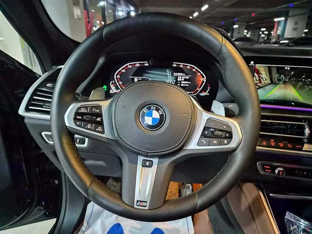 BMW X6 X6 (G06) xDrive 30d M 스포츠 이미지 9