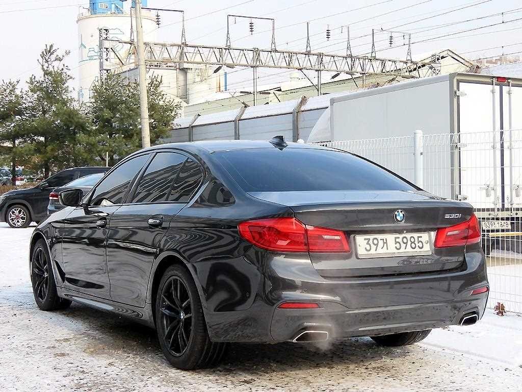 BMW 5시리즈 5시리즈 (G30) 530i M 스포츠 이미지 3