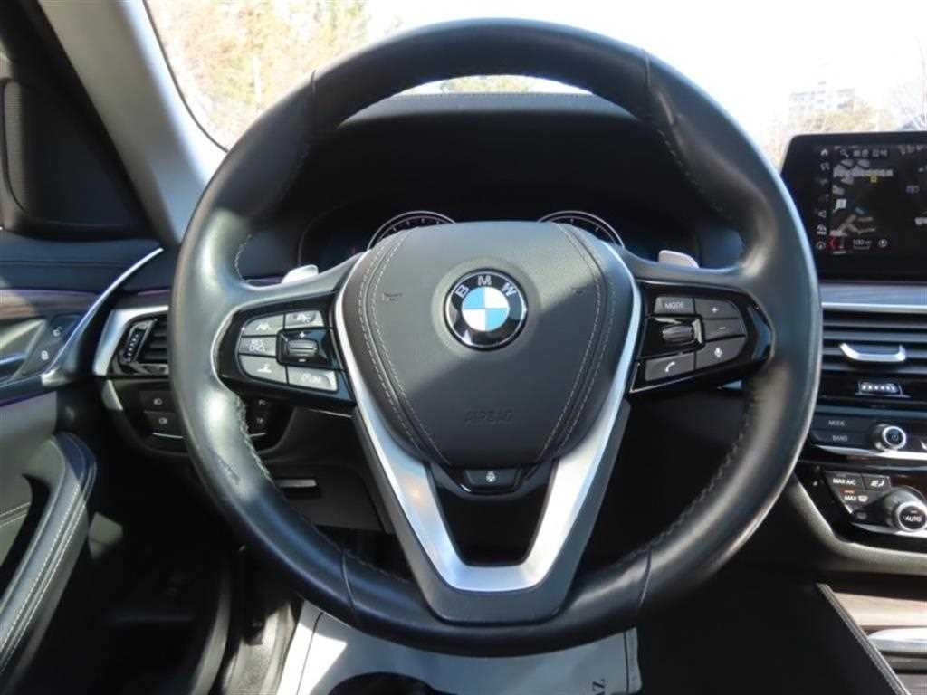 BMW 5시리즈 5시리즈 (G30) 520i 럭셔리 플러스 이미지 16